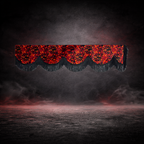 BoutiqueduRoutier™ | Truck Front Window Curtain Danish Plush Red